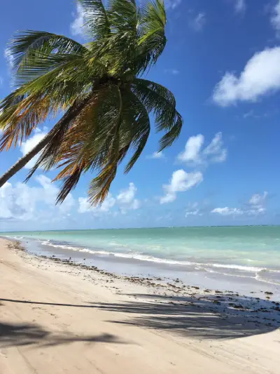 Maceio - Alagoas